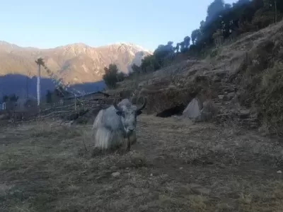 Ama Yangri Trek for Nepali